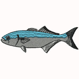 Bluefish 1