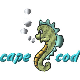 Cape Cod Seahorse 1