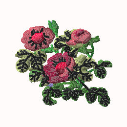 Garden Flowers