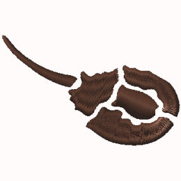 Horseshoe Crab