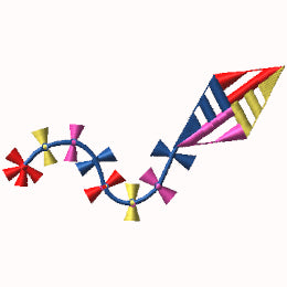 Kite