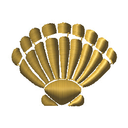 Scallop Shell 1