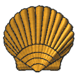 Scallop Shell 3
