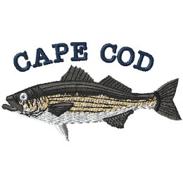 Cape Cod Striper 1