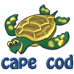 Cape Cod Turtle 1