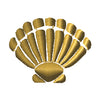 Scallop Shell 1