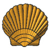 Scallop Shell 3
