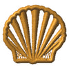 Scallop Shell 2