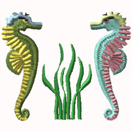 Seahorse - Double Design