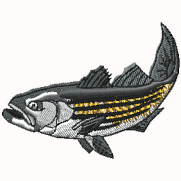 Striper 2