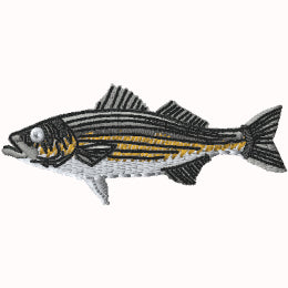 Striper 1