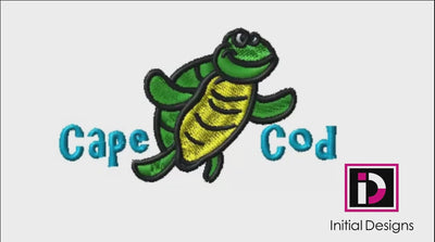 Cape Cod Turtle 2
