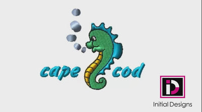 Cape Cod Seahorse 1