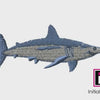 Shark 3