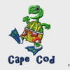 Cape Cod Turtle 3