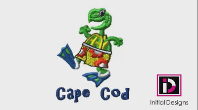 Cape Cod Turtle 3