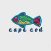 Cape Cod Fish 1
