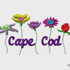 Cape Cod Wild Flowers