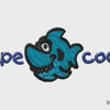 Cape Cod Shark 1