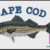 Cape Cod Striper 1