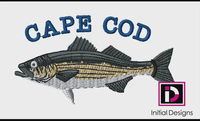Cape Cod Striper 1