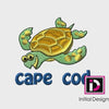 Cape Cod Turtle 1