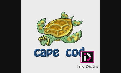 Cape Cod Turtle 1