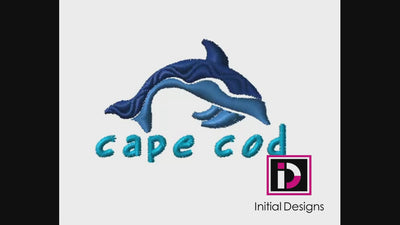 Cape Cod Dolphin 1
