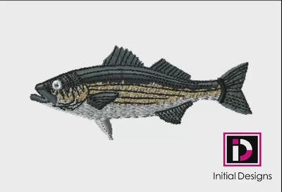 Striper 1