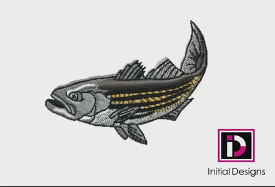 Striper 2