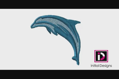 Dolphin 2