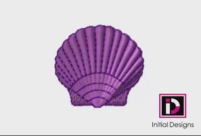 Scallop Shell 3